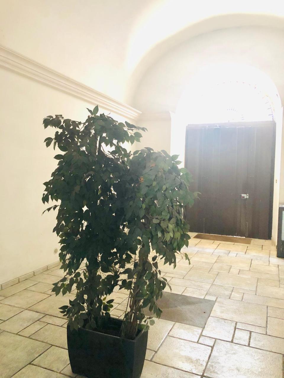 Baricityhouse Zewnętrze zdjęcie